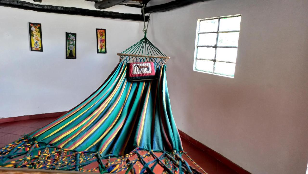 Hospedaje Y Camping Del Rio 蒙圭 外观 照片