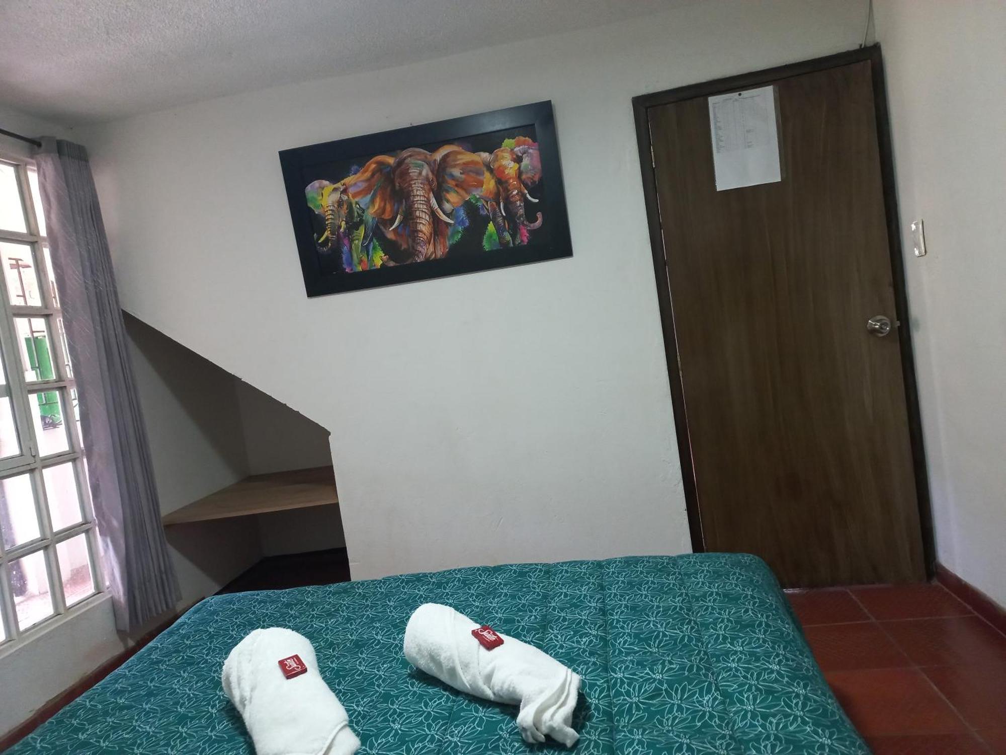 Hospedaje Y Camping Del Rio 蒙圭 外观 照片